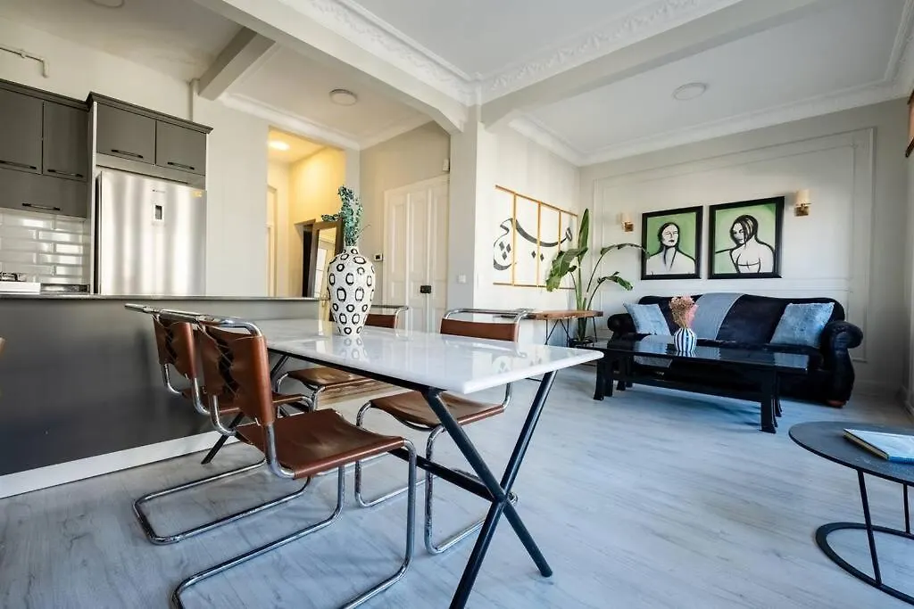 Cosy Historical Apartment Istanbul Turkey